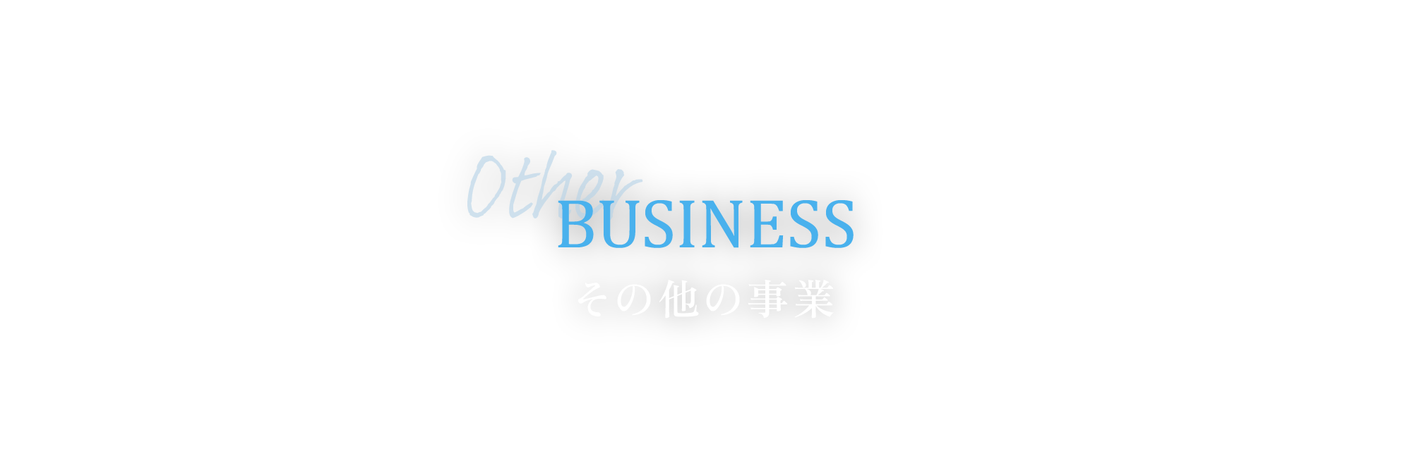 その他の事業